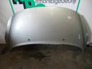 Motorhaube Peugeot 207