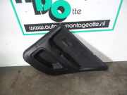 Türverkleidung rechts hinten Lexus IS 1 E1