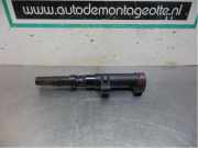 Zündspule Renault Clio III BR0/1, CR0/1 216031219