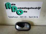 Türgriff rechts vorne Renault Clio III BR0/1, CR0/1 1DT8248