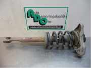 Federbein links vorne Audi A4 8E, B6