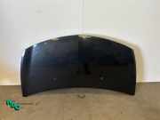 Motorhaube Renault Clio III BR0/1, CR0/1