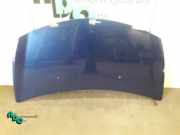 Motorhaube Renault Clio III BR0/1, CR0/1