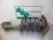 Federbein rechts vorne Peugeot Expert I Kasten 222