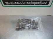 Radbolzensatz Peugeot 107