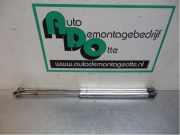 Heckklappendämpfer VW Golf IV 1J 1J6827550C