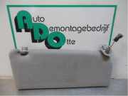 Sonnenblende rechts Lexus IS 1 E1