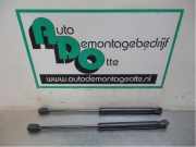 Heckklappendämpfer Kia Picanto 2 TA 817701Y010