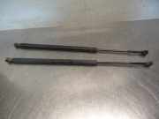 Heckklappendämpfer BMW X5 E53 51248402405