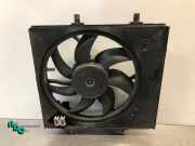 Elektrolüfter Peugeot 208 I CA, CC 9675280980