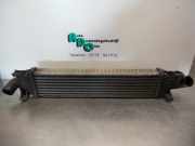 Ladeluftkühler Ford Focus II Stufenheck DB, DH, FCH 3M5H9L440AE