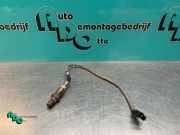 Lambdasonde Renault Twingo II CN0 H7700107433