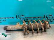 Federbein rechts vorne Ford Transit Connect P*2 5T1618057AC