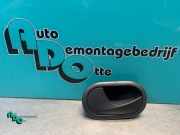 Türgriff links vorne Mercedes-Benz Citan Kasten W415 310579