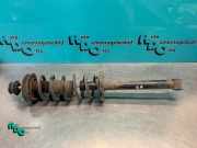 Federbein rechts hinten VW Golf IV Cabriolet 1E 635440041