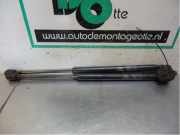 Gasfeder für Motorhaube Hyundai Santa Fe I SM 8116126001