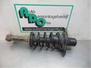 Federbein rechts hinten VW Passat B5 3B2