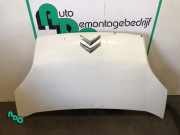 Motorhaube Citroen Nemo Kasten AA