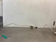 Hochdruck-/Niederdruckleitung für Klimaanlage Mitsubishi Space Star VI Schrägheck A0