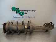 Federbein links vorne Toyota Yaris P1