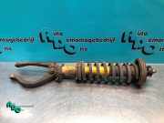 Federbein rechts vorne Honda CRX II ED, EE