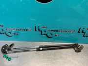 Heckklappendämpfer Mazda Demio DW 4FE16AD54