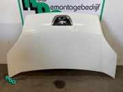 Motorhaube Peugeot Bipper