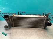 Ladeluftkühler Mercedes-Benz Citan Kasten W415 144963234R