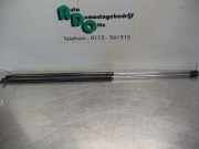 Heckklappendämpfer Hyundai Coupe RD 8177027010