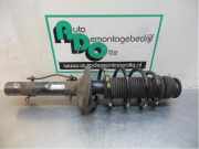 Federbein rechts vorne Seat Leon 1M 1J0413031CP