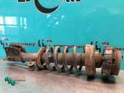 Federbein rechts vorne Renault Trafic II Kasten FL 8200904006