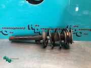 Federbein links vorne BMW 3er Touring E46