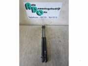 Heckklappendämpfer Rover 75 RJ BMH500010