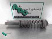 Federbein links hinten Toyota Starlet P8