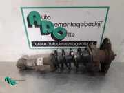 Federbein rechts hinten Mini Mini R50, R53 22190554