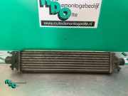 Ladeluftkühler Fiat Bravo II 198 866455500