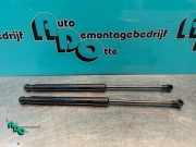 Heckklappendämpfer Renault Twingo II CN0 8200385560