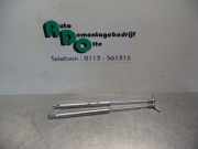 Gasfeder für Motorhaube VW Golf III 1H