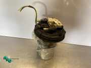 Kraftstoffpumpe Citroen C4 Cactus A2C94382200