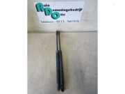 Heckklappendämpfer Alfa Romeo GT 937 60681587