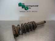 Federbein rechts hinten Nissan Primera Hatchback P11