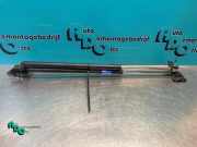 Heckklappendämpfer Suzuki Wagon R+ MM