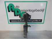 Türgriff hinten Peugeot Expert I Kasten 222