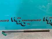 Heckklappendämpfer links Peugeot 107 689500H020