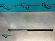 Heckklappendämpfer links Citroen C1 689500H020