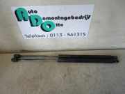 Heckklappendämpfer Hyundai Getz TB 817701C001