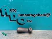 Fensterkurbel Renault Clio III BR0/1, CR0/1 7700811387