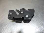 Klappenschlosszug Ford Transit Connect P*2