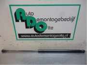 Heckklappendämpfer links Peugeot 107 689500H020