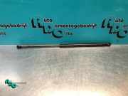 Heckklappendämpfer links Citroen C1 689500H020